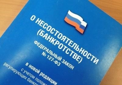 Защита трудовых прав в ситуации официальной неплатежеспособности организации