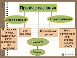 Объект и субъект - понятия, которые активно изучаются в области обществознания.