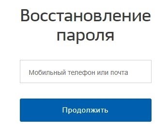 Для юридических организаций пароль к государственным услугам.