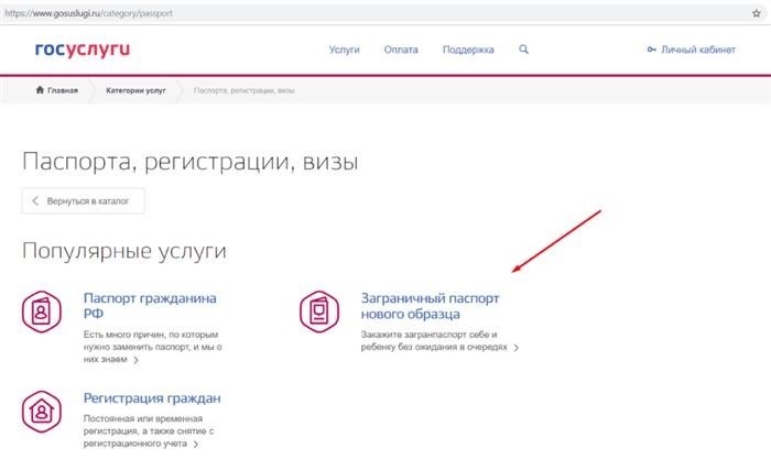 Оформление паспорта для маленького путешественника с помощью государственных интернет-сервисов