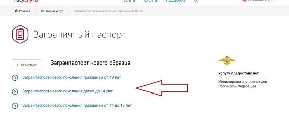 Оформление заграничного паспорта для ребенка с использованием государственных интернет-сервисов.