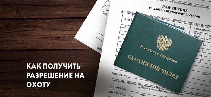 Полный гайд: как получить разрешение на охоту в России