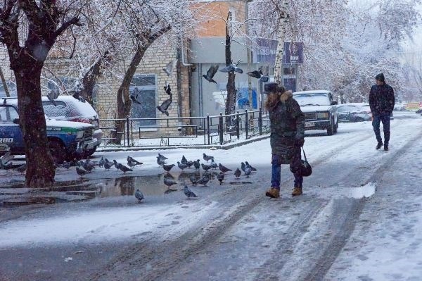 Объявление о штормовом предупреждении на 17 ноября в Свердловской области